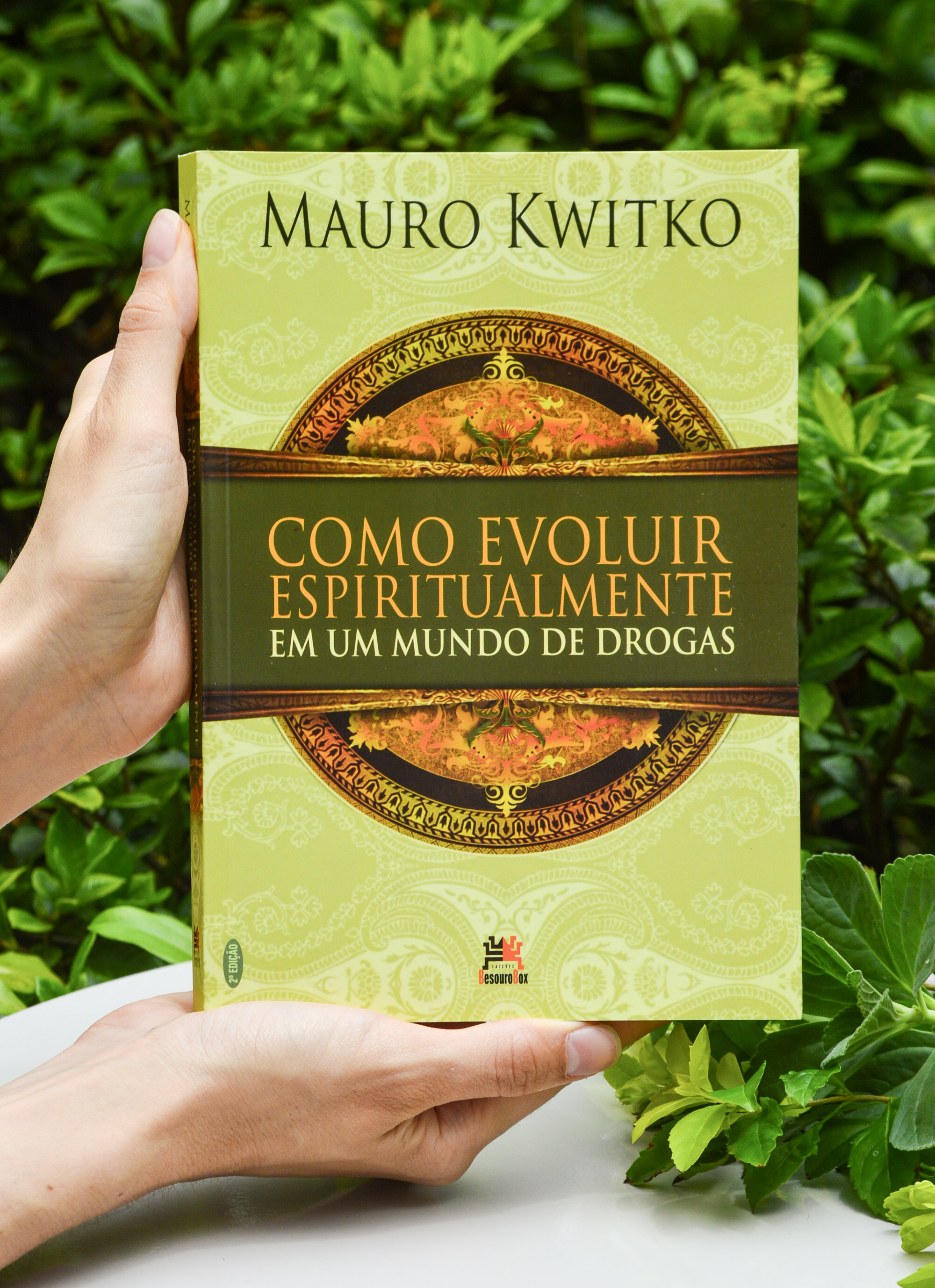 Livro "Como Evoluir Espiritualmente em Um Mundo de Drogas" - Mauro Kwitko