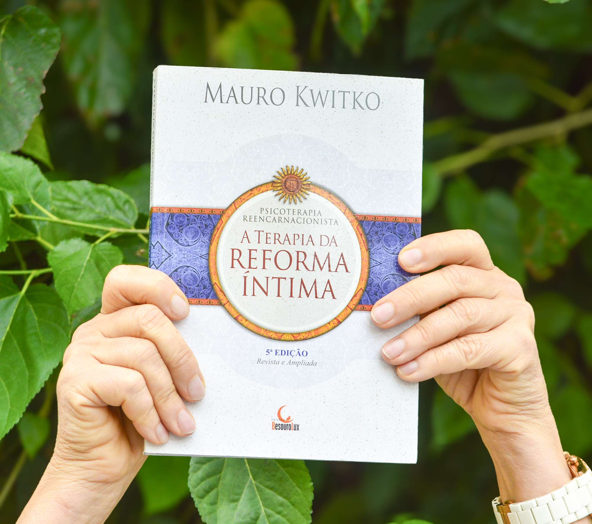 Livro "A Terapia da Reforma Íntima" - Mauro Kwitko